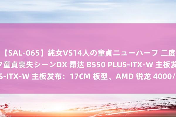 【SAL-065】純女VS14人の童貞ニューハーフ 二度と見れないニューハーフ童貞喪失シーンDX 昂达 B550 PLUS-ITX-W 主板发布：17CM 板型、AMD 锐龙 4000/5000