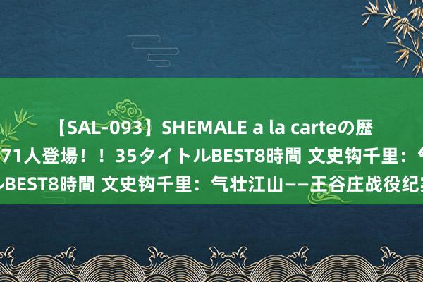 【SAL-093】SHEMALE a la carteの歴史 2008～2011 国内作品171人登場！！35タイトルBEST8時間 文史钩千里：气壮江山——王谷庄战役纪实