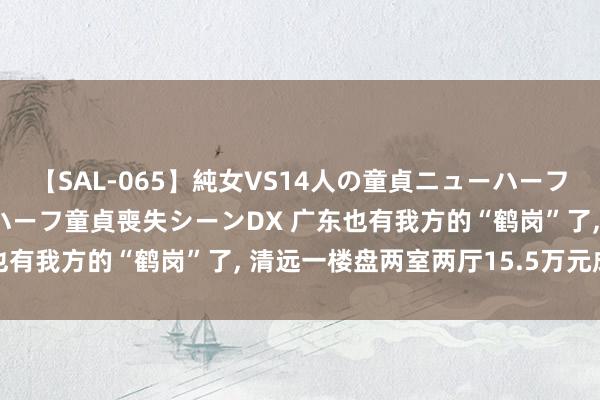 【SAL-065】純女VS14人の童貞ニューハーフ 二度と見れないニューハーフ童貞喪失シーンDX 广东也有我方的“鹤岗”了， 清远一楼盘两室两厅15.5万元成交