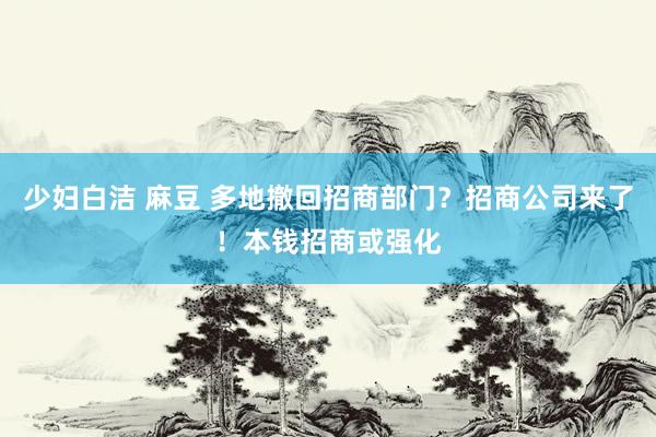 少妇白洁 麻豆 多地撤回招商部门？招商公司来了！本钱招商或强化