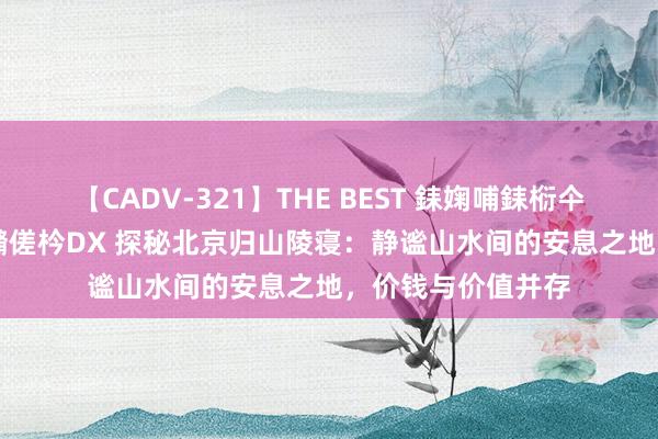 【CADV-321】THE BEST 銇婅哺銇椼仐銇俱仚銆?50浜?鏅傞枔DX 探秘北京归山陵寝：静谧山水间的安息之地，价钱与价值并存