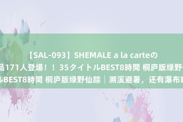 【SAL-093】SHEMALE a la carteの歴史 2008~2011 国内作品171人登場!!35タイトルBEST8時間 桐庐版绿野仙踪│溯溪避暑,还有瀑布咖啡馆