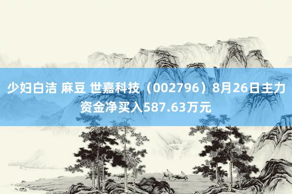 少妇白洁 麻豆 世嘉科技(002796)8月26日主力资金净买入587.63万元