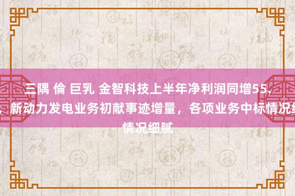 三隅 倫 巨乳 金智科技上半年净利润同增55.7%，新动力发电业务初献事迹增量，各项业务中标情况细腻