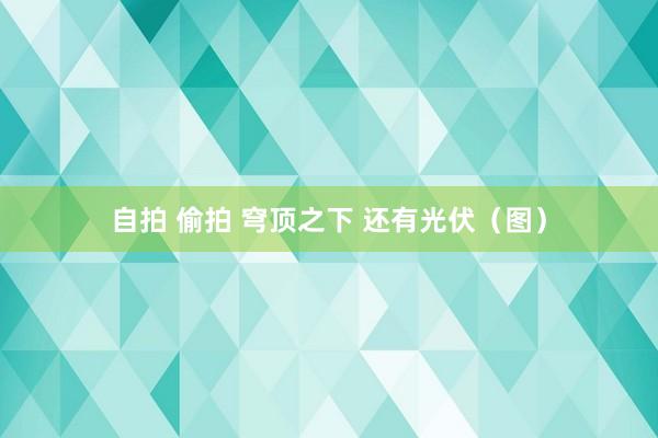 自拍 偷拍 穹顶之下 还有光伏(图)