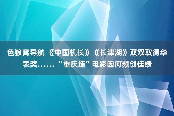 色狼窝导航 《中国机长》《长津湖》双双取得华表奖…… “重庆造”电影因何频创佳绩