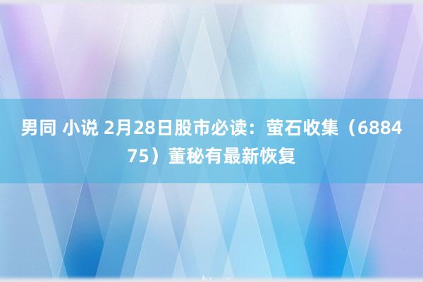 男同 小说 2月28日股市必读：萤石收集（688475）董秘有最新恢复