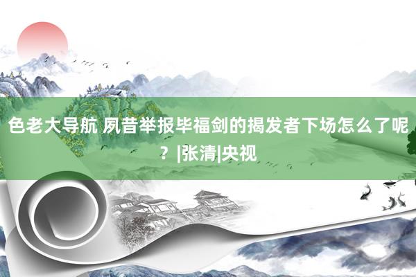 色老大导航 夙昔举报毕福剑的揭发者下场怎么了呢？|张清|央视