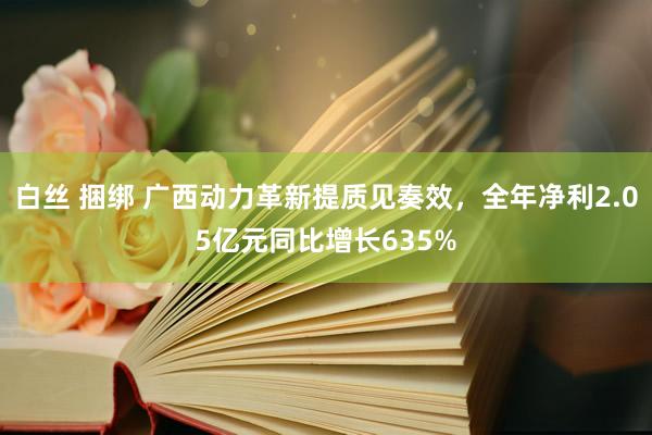 白丝 捆绑 广西动力革新提质见奏效，全年净利2.05亿元同比增长635%