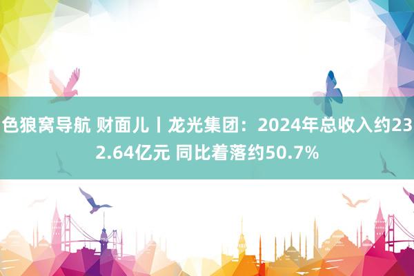 色狼窝导航 财面儿丨龙光集团：2024年总收入约232.64亿元 同比着落约50.7%