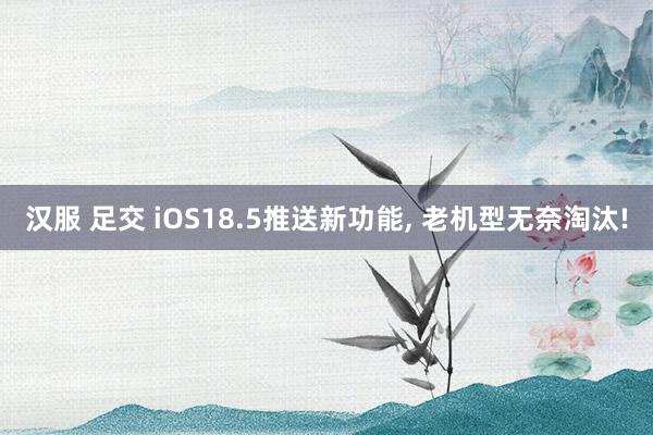 汉服 足交 iOS18.5推送新功能， 老机型无奈淘汰!